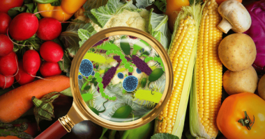 Top 10 alimente interzise pe timpul sarcinii: Ce trebuie să eviți pentru sănătatea ta și a bebelușul